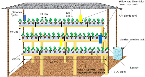 Hydroponic Farming Design