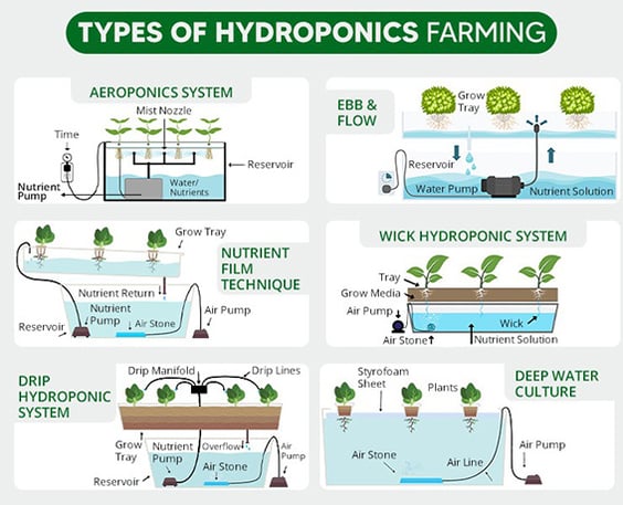 Types of Hydroponic Farming